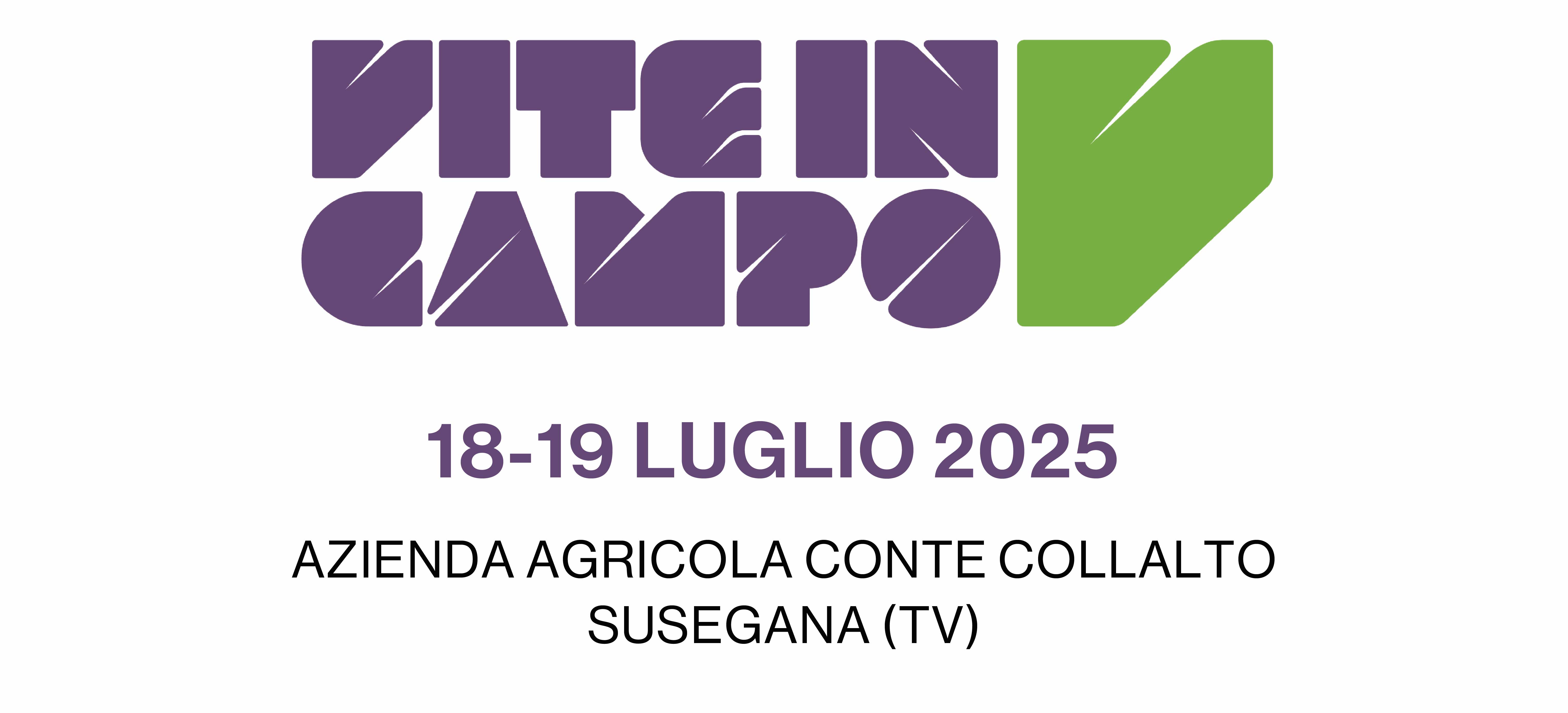 VITE IN CAMPO